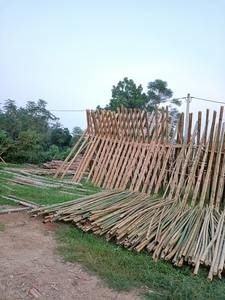 Poteaux durables en bambou brut pour le jardinage et la décoration, prix de gros - Product Image 4