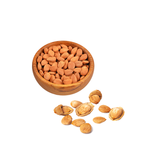 Noyau d'abricot | Convient aux unités d'extraction d'huile naturelle - Product Image 1