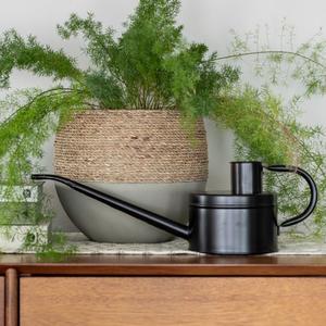 Regadera Cilíndrica Alta de Color Negro Mate con Mango Estilo Madera para el Cuidado de Plantas de Interior y Exterior - Product Image 6