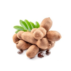 ผงสกัดมะขามป่าออร์แกนิก เกรดอาหาร ส่วนผสมผลไม้เขตร้อน สำหรับอาหารและเครื่องดื่ม ผู้จัดจำหน่ายส่งออกจำนวนมากจากประเทศไทย - Product Image 4