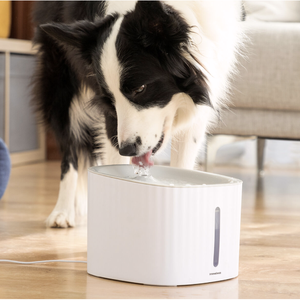 Bebedero Eléctrico para Mascotas InnovaGoods Drinkatt, Fuente de Agua Fría para Mascotas, de Plástico, para Instalar en Escritorio - Product Image 4