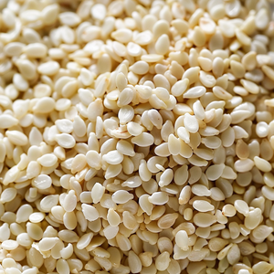Premium Sesame <b>Seeds</b> (Natural / Hulled) – India Origin - Product Image 2