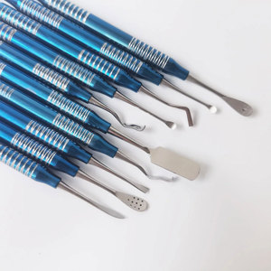 10 pièces manuel implant dentaire ascenseur périosté Instruments de chirurgie buccale pour ascenseur de sinus et séparateur de séparateur réfléchissant - Product Image 2