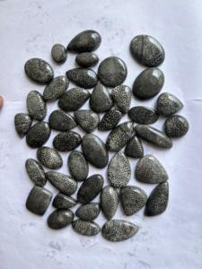 หินคริสตัลปะการังฟอสซิลสีดำอัญมณีหลวมละเอียดตามธรรมชาติสำหรับเครื่องประดับ - Product Image 3