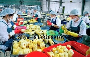 Deliciosas rodajas de piña enlatada Frutas tropicales enlatadas-Trozo de frutas de piña en almíbar-Sra. Shyn - Product Image 6