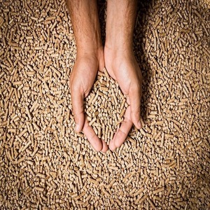 En Stock, compre pellets de madera de roble de primera calidad, entrega rápida, precio al por mayor, pellets de madera Epal asequibles para quema limpia - Product Image 5