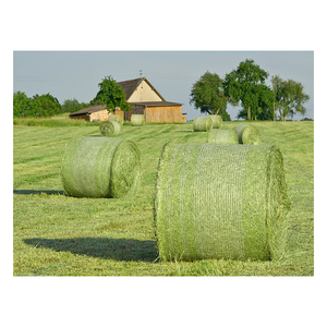 Foin de Rhodes de haute qualité, balles de foin propre pour l'alimentation animale, fourni aux acheteurs en gros et aux partenaires commerciaux - Product Image 5