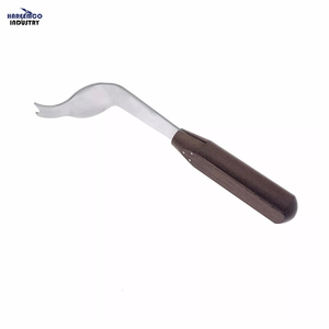 Retractor de Gancho Vertebral de Acero Inoxidable de Marca Personalizada, Retractor de Cuello Femoral, Instrumentos Ortopédicos, Aprobado por CE e ISO - Product Image 3