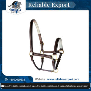 Meilleure vente combinaison de cuir et de corde de style selle anglaise tête anatomique licou de cheval licou en cuir hybride - Product Image 2
