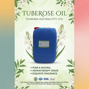 Huile de tubéreuse florale 100% pure exclusive, qualité industrielle, pour la production de parfums à haute capacité, développement aromatique mondial - Product Image 5