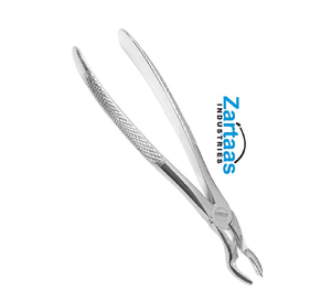 Pince d'extraction en acier inoxydable de haute qualité tiers supérieurs molaires droite fig. Exportateurs et fabricant 67R - Product Image 3