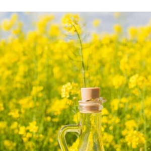 Aceite de Canola a Granel Refinado y Aceite de Colza Refinado al por Mayor para la Venta - Product Image 3