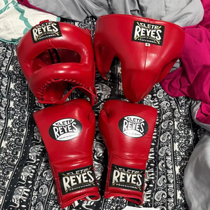 Professional Best Quality PU Leather 14oz 16oz Custom Logo Waterproof Thermal Insulated Non-Slip Boxing Gloves Unisex Custom - Product Image 1