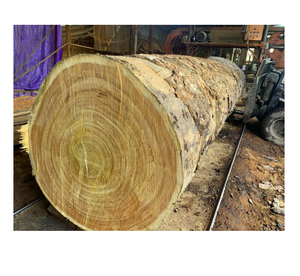 Madera de Pachyloba de alta calidad a la venta a precios económicos, suministro a granel disponible para compradores mayoristas y de exportación - Product Image 1