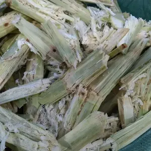 MEJOR VENTA 2025-RESIDUO DE CAÑA DE AZÚCAR/PELLETS DE BAGAZO DE CAÑA EN VENTA - Product Image 1