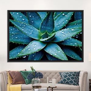 Toile imprimée : Plante succulente avec gouttes d'eau, art mural, toile encadrée noire - Product Image 1