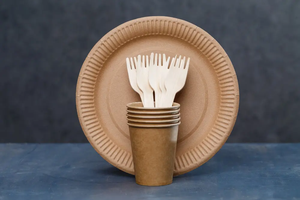 Máquina Automática de Alta Velocidad y Eficiencia para Fabricar Platos de Papel y Bandejas de Alimentos, Vajilla Biodegradable de Pulpa, Platos Desechables - Product Image 4