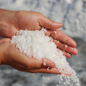 Sel comestible 98% à 99,5% Granulés fins pour la cuisine quotidienne Transformation alimentaire Assaisonnements et cuisines commerciales - Product Image 2