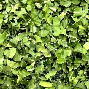 HOJAS DE PANDAN CONGELADAS/SECAS DE ALTA CALIDAD // 100% MEJORADOR DE SABOR NATURAL DE EXPORTADOR VIETNAMÉS - Product Image 1