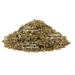 PRECIOS BARATOS PARA INGREDIENTES DE CALIDAD DE TÉ DE HOJA DE PAPAYA SECA DE GRANJA NATURAL DE VIETNAM - Product Image 4