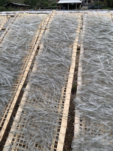 วุ้นเส้นจากข้าวสไตล์เวียดนามแบบดั้งเดิมสำหรับใช้หม้อไฟ - Product Image 2