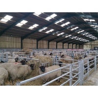 Establo Prefabricado de Acero Fácil de Instalar para Cabras, Ovejas y Ganado, para Granjas de Cría de Ovejas