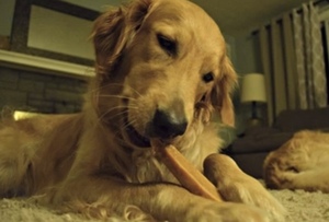 Fromage de Yak de l'Himalaya personnalisé à mâcher saveur fraise meilleure vente chaude nourriture à mâcher naturelle pour chien fromage de Yak de l'Himalaya à mâcher aromatisé - Product Image 4
