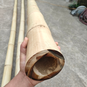 Matières premières naturelles de poteaux en bambou traités épais pour les limites de ferme et la construction de clôtures - Product Image 6