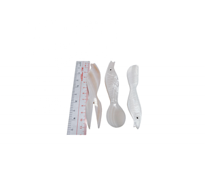 Top <b>Sale</b> Mother of Pearl <b>Seashell</b> Craft Spoon with Fish-shaped Handle <b>for</b> Food tools Tableware Kitchenware Party - Product Image 2