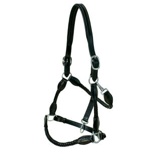 Licol en cuir de haute qualité, tressé, avec des accessoires en laiton massif, réglable, équipement équestre - Product Image 4