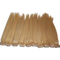 BT HAIR Extensions de Cheveux Humains Blondes 613 Double Drawn en Gros, Mèches Brutes Vierge à Prix Abordable