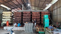 NGOC CHAU Feuilles de caoutchouc naturel nervurées fumées, film transparent et qualité de calandrage, pour séchage extérieur avec résistance aux UV