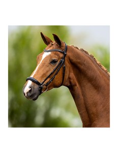 Bridon en cuir pour cheval avec design anatomique et sangles réglables pour l'équitation - Product Image 4