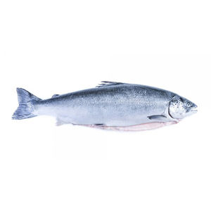 Saumon congelé faible en gras, riche en oméga, poisson marin faible en sodium, faible en glucides, qualité A, exportation en vrac au Royaume-Uni, approvisionnement en gros, expédition prête - Product Image 3