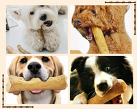 Jouets à mâcher en fibre de coco pour vos animaux de compagnie Jouets pour animaux de compagnie non toxiques et écologiques 100% matériaux naturels Jouets de qualité supérieure pour les dents de votre animal de compagnie