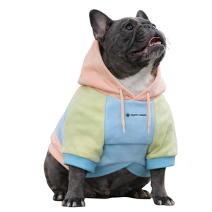 Jelly Bean Colorblock Dog Hoodie Soft Fleece Pet <b>Sweatshirt</b> With Hood Cozy Warm Pullover Winter Wear For Small Medium Dog Indoor - Product Image 1