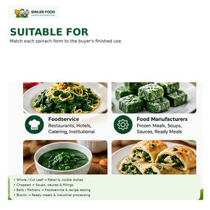 Espinacas Congeladas IQF de 2-4 cm para Platos Preparados y Procesamiento de Alimentos - Product Image 5