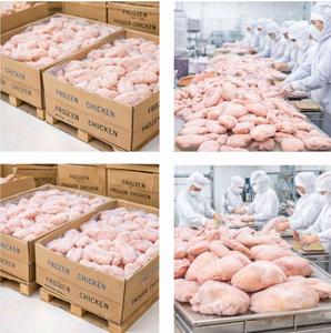 Fournisseur en gros de poulet entier congelé halal - Product Image 3
