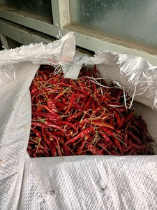 Chili rojo seco IQF de Vietnam para cocinar y procesar alimentos Proveedor confiable de alta calidad de Vietnam Exportación al por mayor - Product Image 2