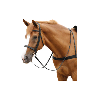 Nouvelle Arrivée Dernière Conception Cheval Formation Rênes De Marche Au Meilleur Qualité De Fabrication Indienne Aussi Bride En Cuir ou PVC - Product Image 2