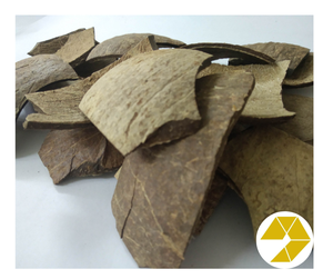 Cáscara de coco crudo Premium para manualidades y carbón vegetal 100% suministro a granel natural listo para exportar cáscara de coco crudo de alta calidad a la venta - Product Image 3