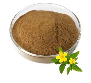 Polvo de extracto de hoja de Damiana orgánico 100% de la mejor calidad, extraído con disolvente a bajo precio, OEM y etiquetado privado disponible - Product Image 1