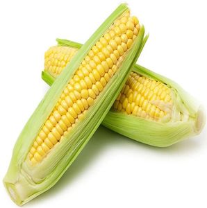 Maïs sucré en conserve prêt à consommer, vente chaude, disponible en OEM/ODM, 425g - Product Image 2