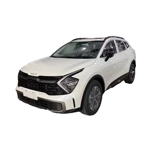 SUV haut de gamme 2.0T 4x4 automatique à transmission intégrale, sièges en cuir, norme d'émission Euro VI, modèle 2023-2025 - Product Image 1