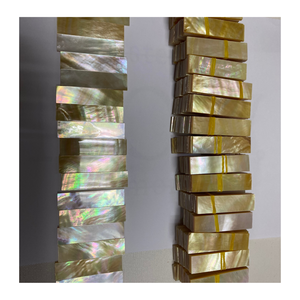 Vietnam nacre coquille pièces nacre tranches de nacre pour incrustation artistique bijoux Art mural panneaux de meubles décoratifs - Product Image 2
