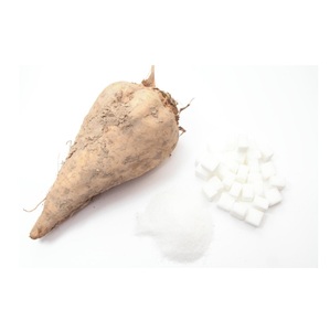 น้ำตาลบีทบริสุทธิ์พรีเมียมสำหรับขาย - Product Image 4