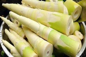 DISPAROS DE BAMBÚ CONGELADOS A BASE DE PLANTAS ETIQUETA LIMPIA DE VEGETALES ENTEROS NATURALES ALIMENTOS CON ALTA FIBRA - Product Image 6