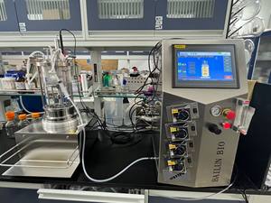 Biorreactor de laboratorio Bailun 5L, biorreactor de vidrio con agitación magnética utilizado para sustrato para fermentación en el momento de la fermentación - Product Image 5