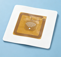 Chip de Tinta SEN1982 2BK124, Compatible con Impresoras CIJ de la Serie Domino AX, Repuestos