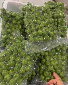 Dracontomelón congelado a bajo precio de exportación a granel de proveedores vietnamitas de Vietnam-2024 - Product Image 5